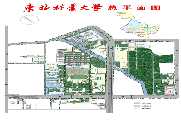 学校校园总体规划设计取得阶段性进展-东北林业大学新闻网