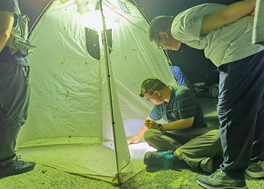 昆虫多样性团队 (3).png