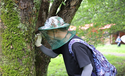 昆虫多样性团队 (2).png