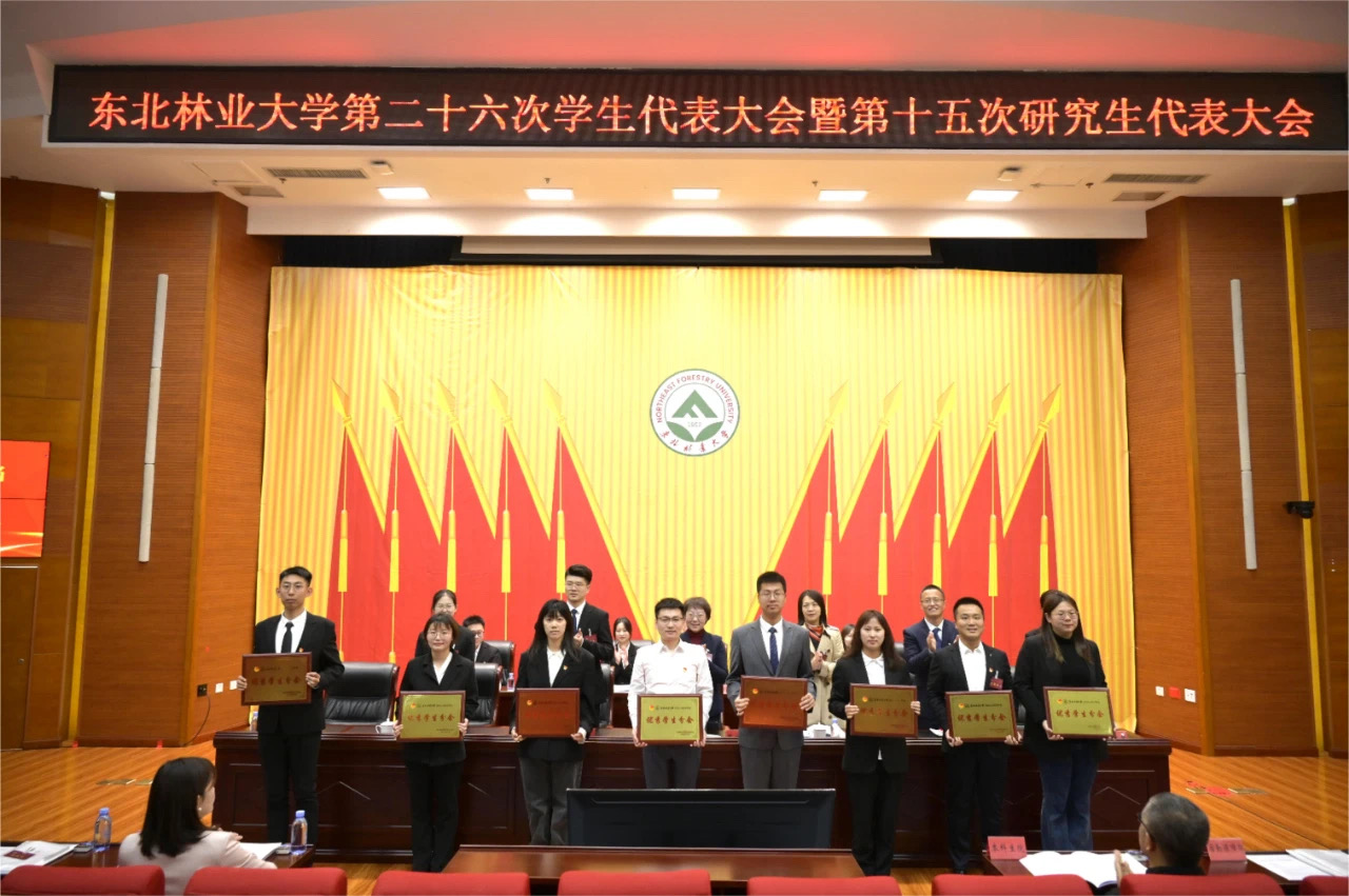 8bf8959e11a22ebb2a9be824389c747