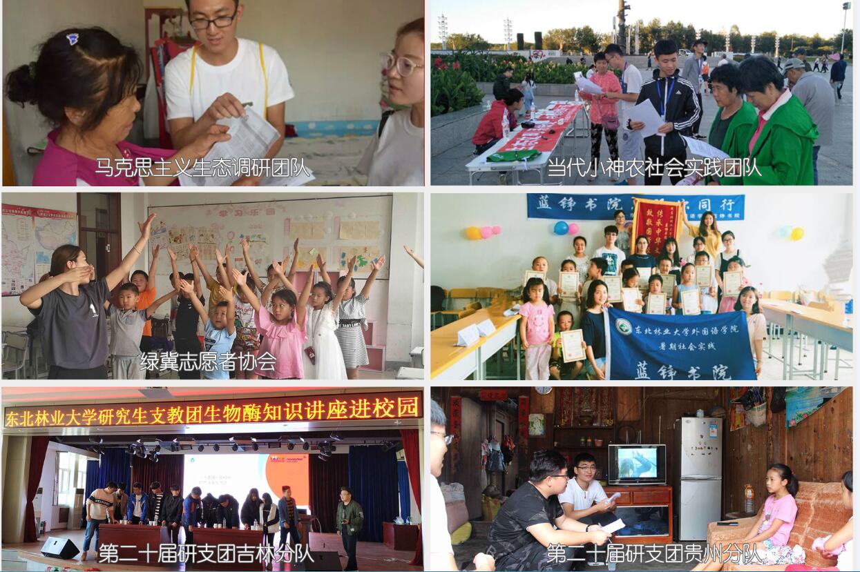 受表彰暑期社会实践团队