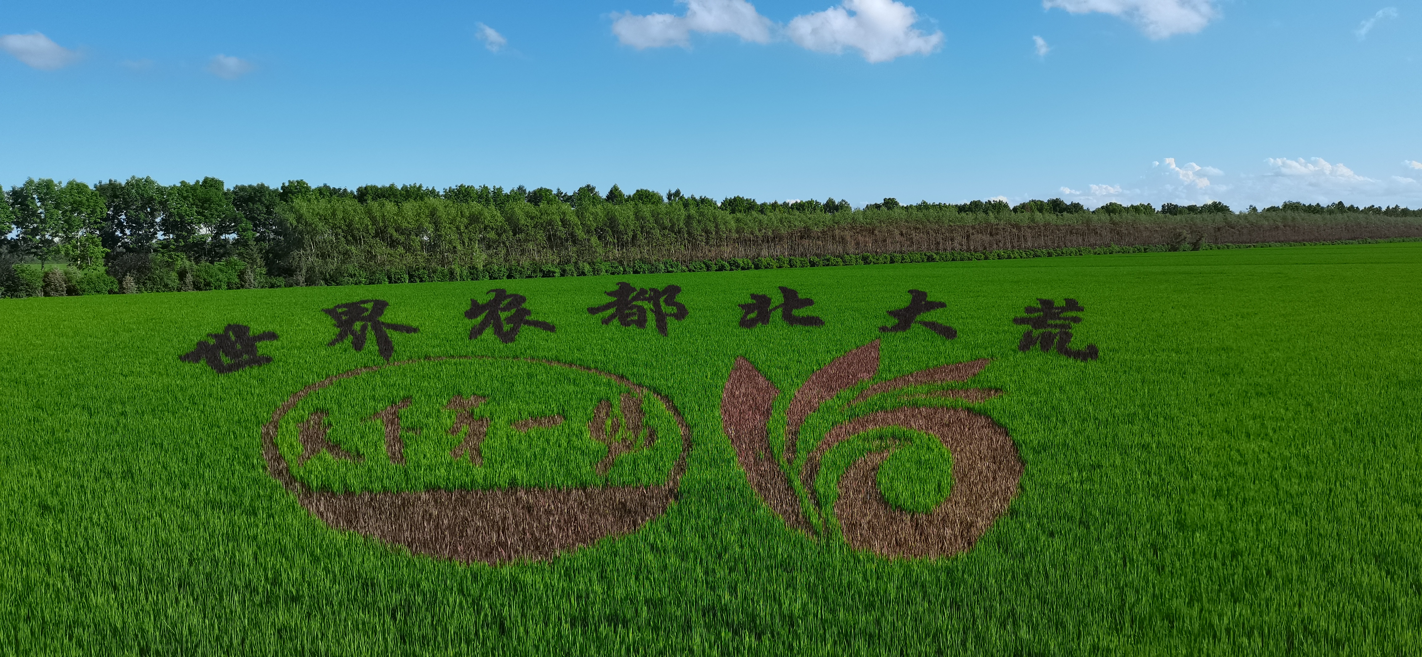 70b1e97a007201484f9fdb389c2ca12