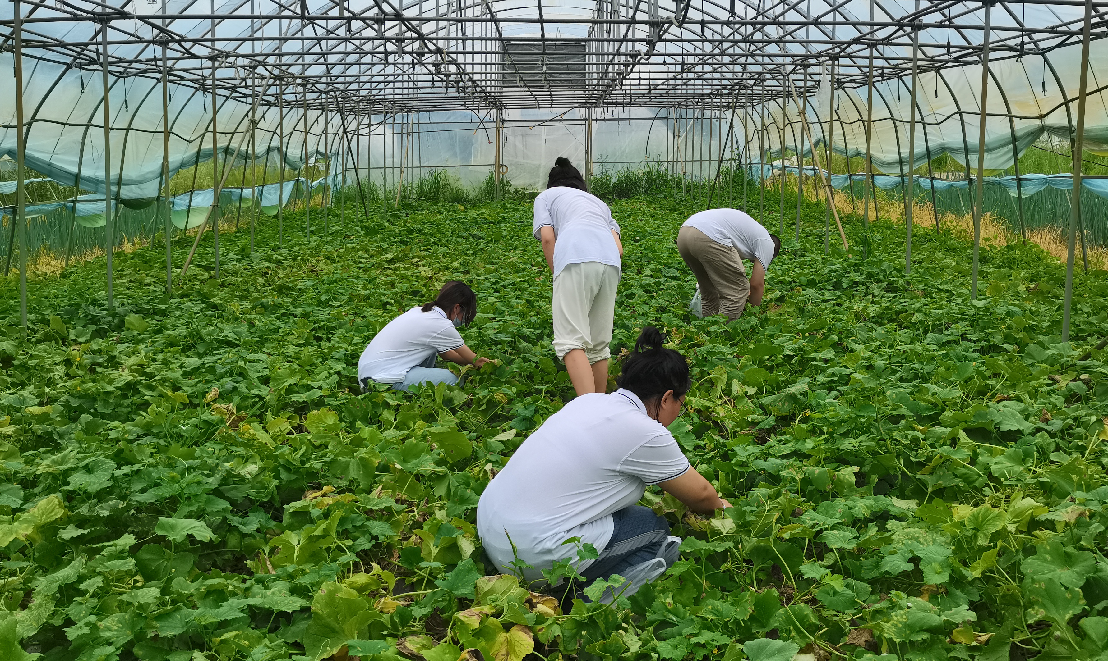 434a74bec28a8a62366ce4d45857d87