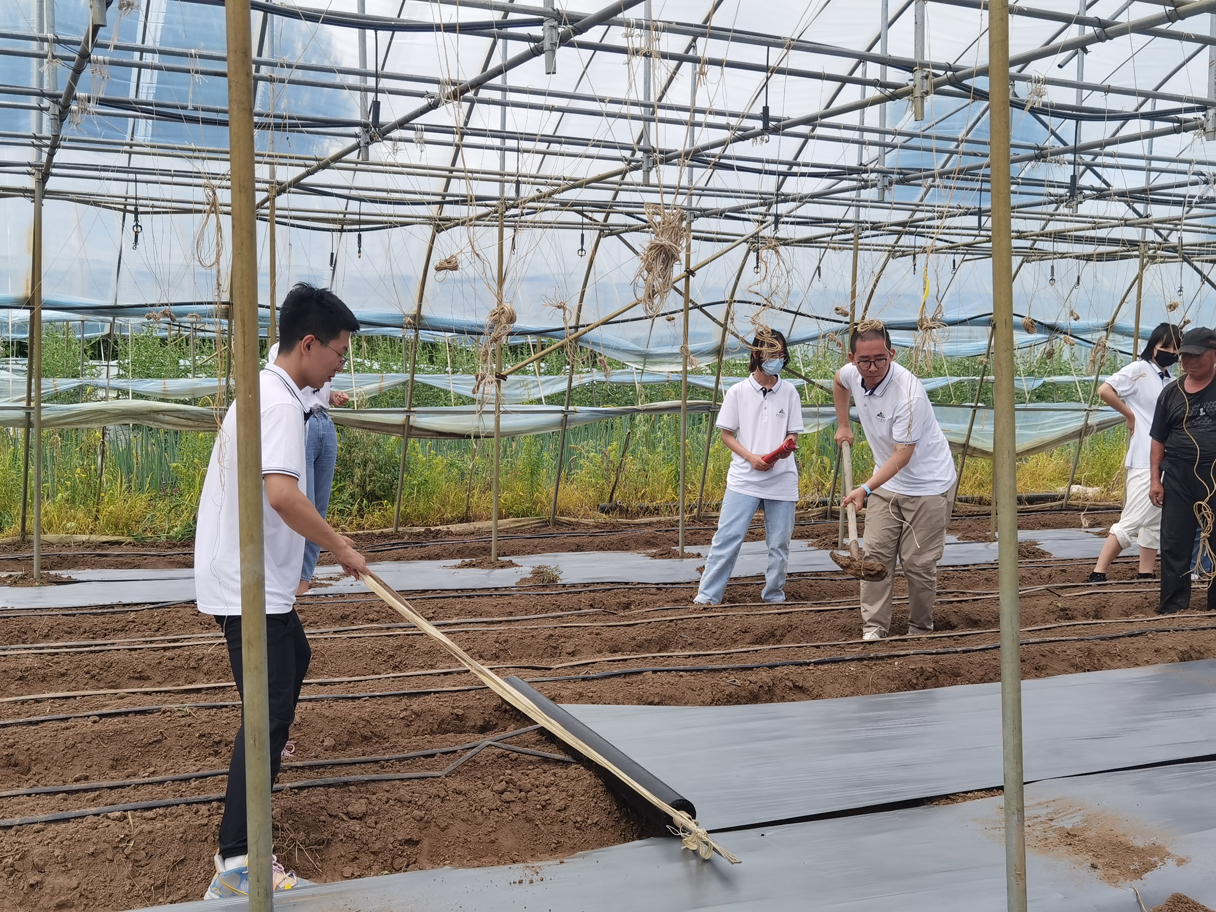 53f1af36dcf36a1d6136981ac68e374