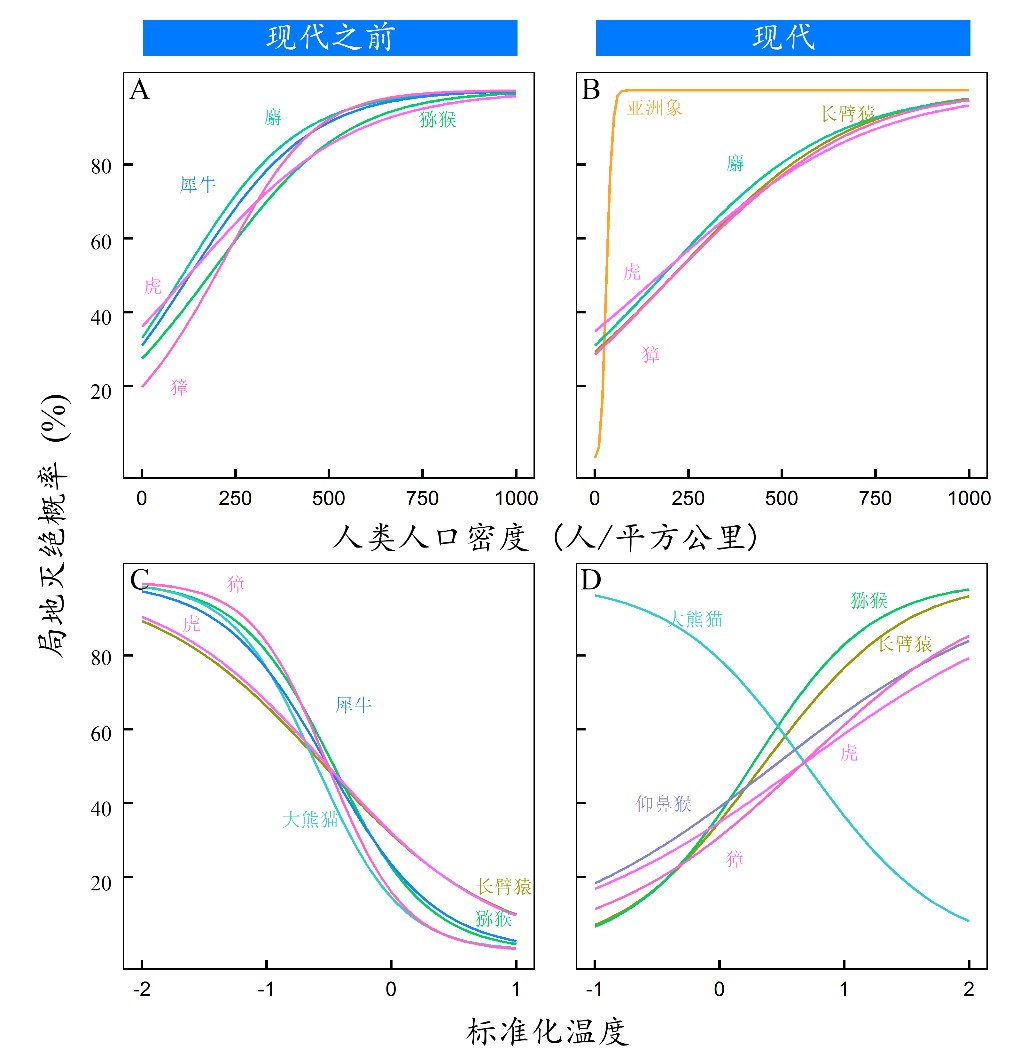 图2:11种哺乳动物对人为干扰和气候变化的响应。局地灭绝概率与平均人口密度(A:现代之前;B:现代)和标准化平均夏季温度(C:现代之前; D:现代)的关系。