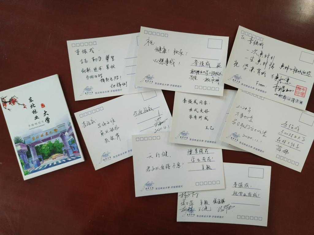 老师们深情寄语